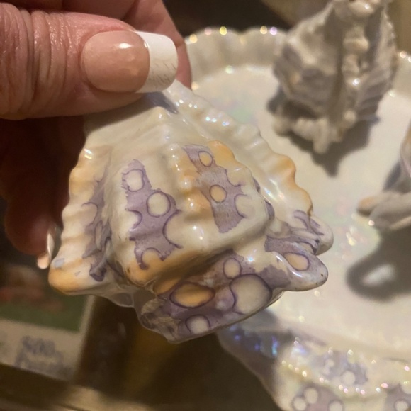 Elegant Iridescent Shell Dish Set - Picture 5 of 16